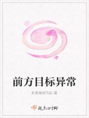 前方目标异常