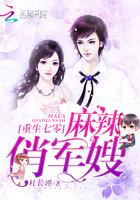 重生七零：麻辣俏军嫂